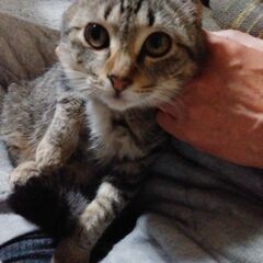 耳折れ、短足君👀👀👀決まりました～☺️