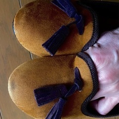 新品　パンプスベルベット調　Lの画像