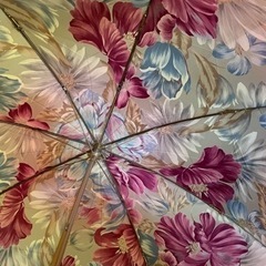 カラフル鮮やかなな折り畳み傘の画像