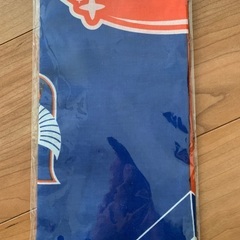 新潟アルビレックス　ノベルティグッズ　の画像