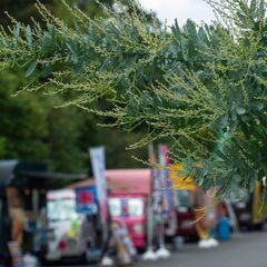 キッチンカーをレンタルしませんか？新しいビジネスのチャンスを探し...