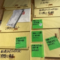 引き渡し者決定！着払いOK！サイン入り色紙　サインボール　世界遺産DVD新品！ 相撲サイン　座布団の画像