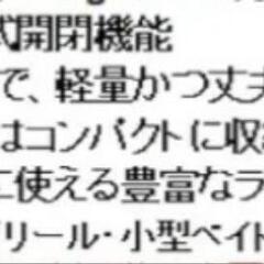 12/22本日限りの掲載　ロッドケースの画像