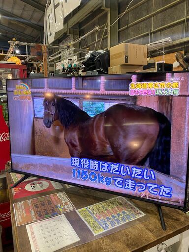 ✨安心の動作保証付✨Hisense 2021年製 50インチ4Kチューナー内蔵液晶テレビ 50E65G【愛市IT008296-104】
