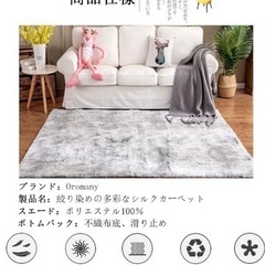 カーペット　ラグの画像