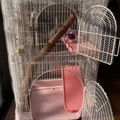 【無料】ペットケージ(フクロモモンガ、猫、鳥用かご)