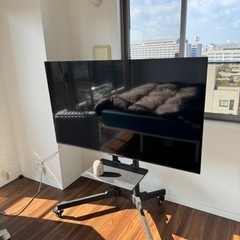 50インチ　Panasonic VIERA パナソニックVIER...