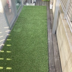 芝生の画像