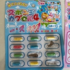 スポンジカプセルの画像