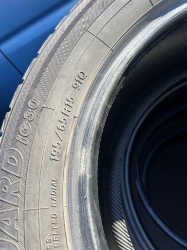 アイスガード　バリ山