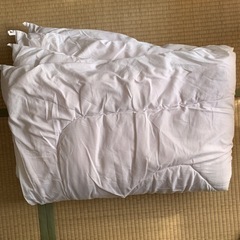 ニトリ　吸湿発熱掛け布団　NウォームSP15 シングル