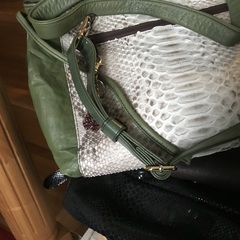 パイソンのバック