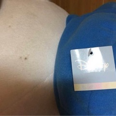 ドナルドの特大ぬいぐるみの画像