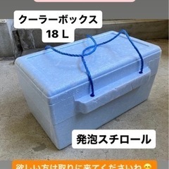 あげます❣️クーラーボックス◆発泡スチロール◆18Ｌ