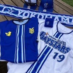 🏟️平日 横浜スタジアムで草野球しませんか？男女不問 