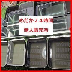 池田市【２４時間めだか無人販売所】