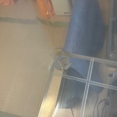 収納ケースの画像