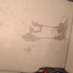 タント　車検3月までの画像