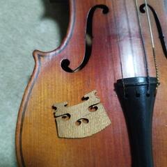 バイオリンの画像