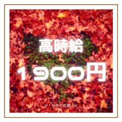 《資源回収ドライバー》未経験OK◎高月収33万円以上も可♪日払いも可能！男女スタッフ活躍中★【ms】A13K0431-3(1)の画像