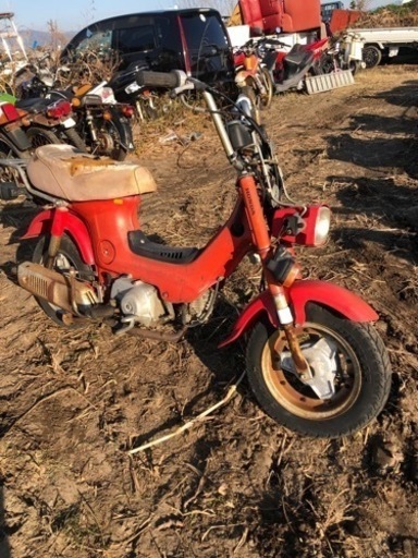 ホンダ　シャリー50     書類付　レストアベース車