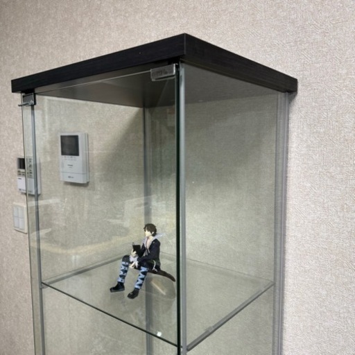 LADWOKFI コレクションケース 高さ163cm フィギュアケース　4段