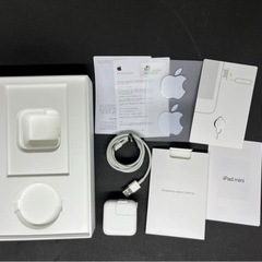 【美品】iPad mini5（第五世代）64GBスペースグレイ、セルラーモデル＋おまけ付の画像