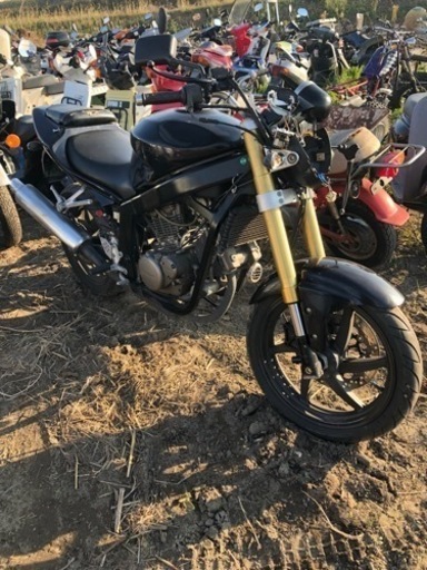 ヒョースン　gt250    書類付部品取り、レストアベース車