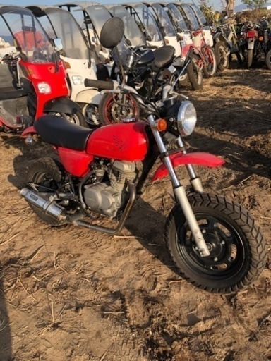 ホンダ　エイプ50  AC16   書類付実働ベース車