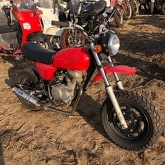 ホンダ　エイプ50  AC16   書類付実働ベース車