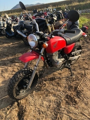 ホンダ　エイプ50  AC16   書類付実働ベース車