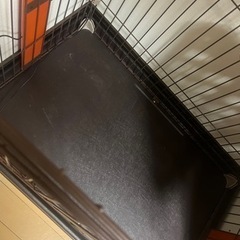 キャットケージ 3段タイプ coo&rikuの商品の画像