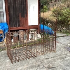 箱罠　猪