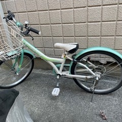 ジュニア　自転車