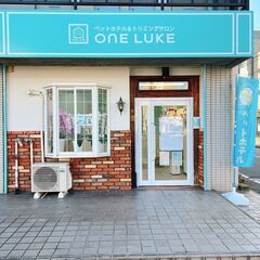 【トリマーあと１名募集】ららぽーと名古屋みなとアクルス近く！の画像