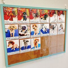 【トリマーあと１名募集】ららぽーと名古屋みなとアクルス近く！の画像