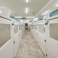 【トリマーあと１名募集】ららぽーと名古屋みなとアクルス近く！の画像