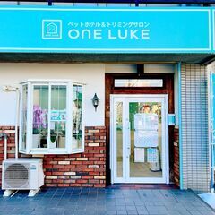 【トリマー募集】ららぽーと名古屋みなとアクルス近くの店舗でトリマー募集！の画像