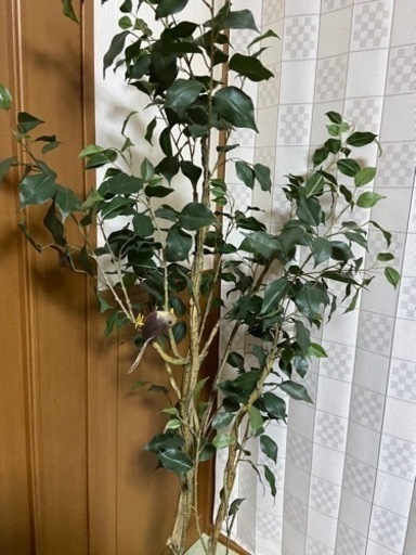 新年セール最終　観葉植物　造花　150㎝