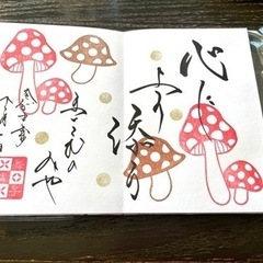 御朱印巡りやカフェ仲間募集中〜🌷