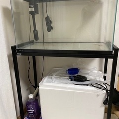60cm水槽 他