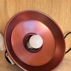 電気がさの画像