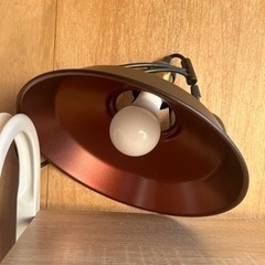 電気がさ
