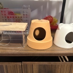 グラスハーモニー600プラス　残り１つとなりましたの画像