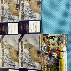 最終です。これで最後の投稿にします。那須動物王国チケット大人２名...