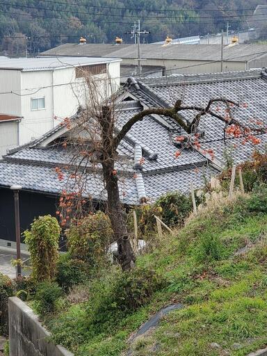 お宝、その他多数