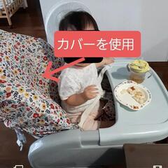Aprica アップリカ　ユラリズム　イージーウォッシュ