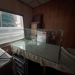 決まりました。水槽　大型　熱帯魚　