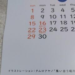 ２０２4年　1枚ものカレンダー2枚・タムロアヤノ・某銀行・筒型発送！の画像