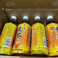 サンガリア 麦茶 ２４本入り 1ケース 商談中の画像